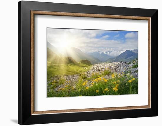 Mountains Landscape in Vorarlberg, Austria-egal-Framed Photographic Print