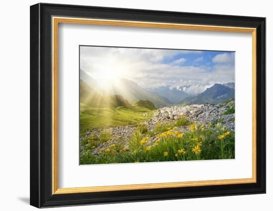 Mountains Landscape in Vorarlberg, Austria-egal-Framed Photographic Print