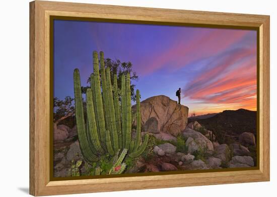 Mountains Near La Ventanaz, Baja California, Mexico-Christian Heeb-Framed Premier Image Canvas