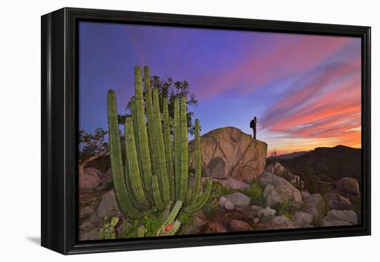 Mountains Near La Ventanaz, Baja California, Mexico-Christian Heeb-Framed Premier Image Canvas