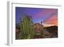 Mountains Near La Ventanaz, Baja California, Mexico-Christian Heeb-Framed Photographic Print