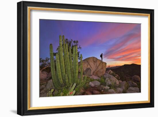 Mountains Near La Ventanaz, Baja California, Mexico-Christian Heeb-Framed Photographic Print