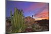 Mountains Near La Ventanaz, Baja California, Mexico-Christian Heeb-Mounted Photographic Print