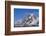 Mountains Rising from the Sea-DLILLC-Framed Photographic Print