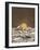 Mountainscape 6-Florent Bodart-Framed Giclee Print