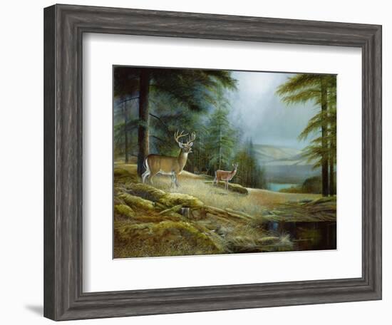 Mountaintop Retreat-Ruane Manning-Framed Art Print