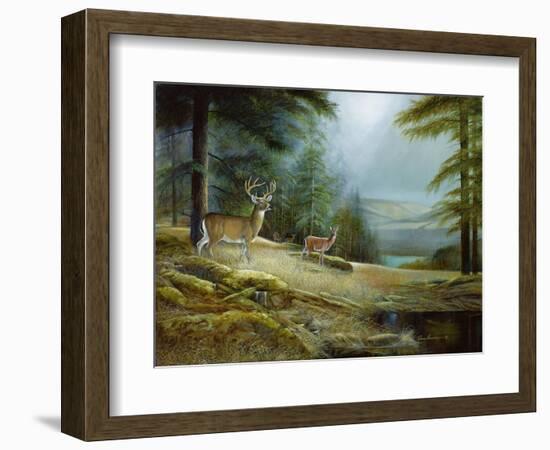 Mountaintop Retreat-Ruane Manning-Framed Art Print