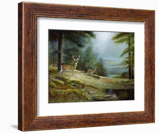 Mountaintop Retreat-Ruane Manning-Framed Art Print