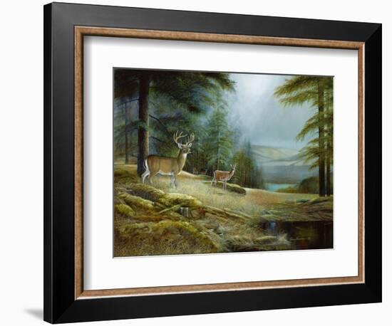 Mountaintop Retreat-Ruane Manning-Framed Art Print