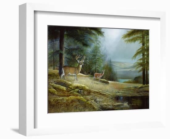 Mountaintop Retreat-Ruane Manning-Framed Art Print