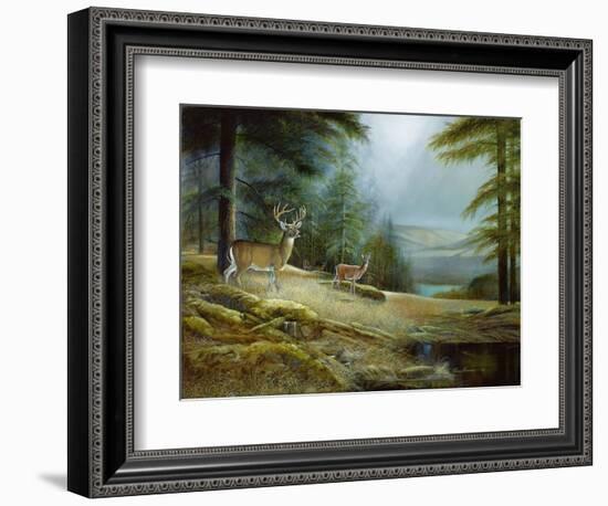 Mountaintop Retreat-Ruane Manning-Framed Art Print