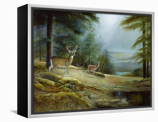 Mountaintop Retreat-Ruane Manning-Framed Stretched Canvas