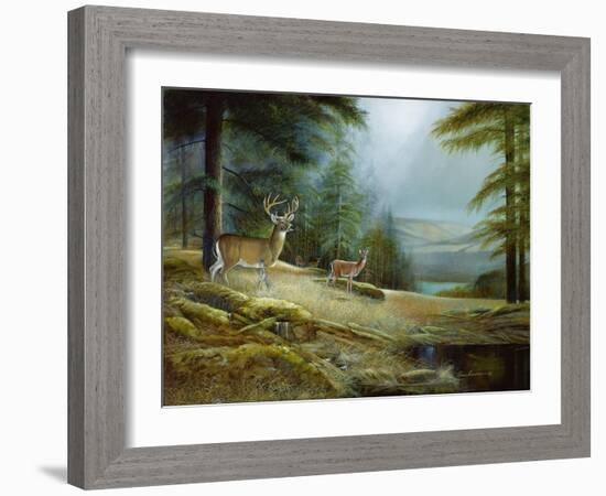 Mountaintop Retreat-Ruane Manning-Framed Art Print