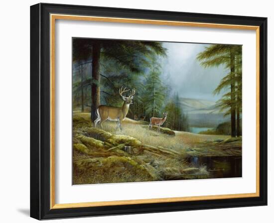 Mountaintop Retreat-Ruane Manning-Framed Art Print