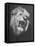 Mounted Head of the MGM Movie Studio Trademark-Walter Sanders-Framed Premier Image Canvas