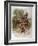 Mounted Infantry-Frank Dadd-Framed Art Print