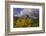 MOUNTIAN IN FALL-SALLY LINDEN-Framed Photographic Print