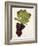 Mourac Grape-J. Troncy-Framed Giclee Print