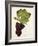 Mourac Grape-J. Troncy-Framed Giclee Print