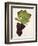 Mourac Grape-J. Troncy-Framed Giclee Print