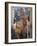 Moure Place, Old Town, Collioure, Roussillon, Cote Vermeille, France, Europe-Thouvenin Guy-Framed Photographic Print