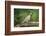 Mouring Dove-Gary Carter-Framed Photographic Print