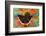 Mourning Cloak Butterfly-Darrell Gulin-Framed Photographic Print