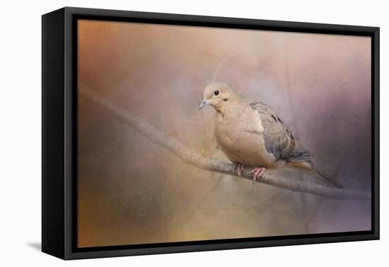 Mourning Dove on a Winter Evening-Jai Johnson-Framed Premier Image Canvas