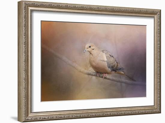 Mourning Dove on a Winter Evening-Jai Johnson-Framed Giclee Print