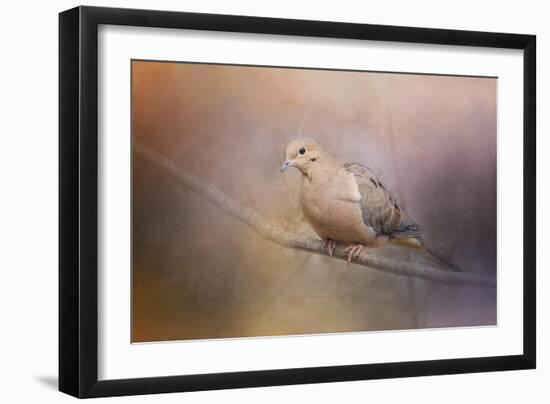 Mourning Dove on a Winter Evening-Jai Johnson-Framed Giclee Print