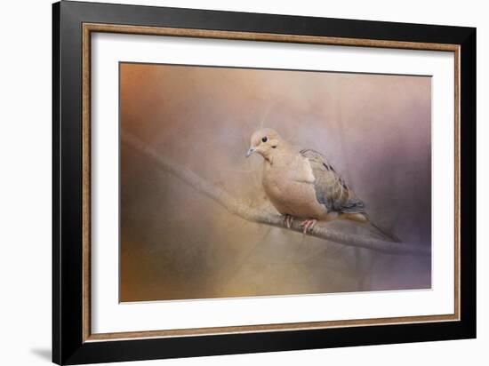Mourning Dove on a Winter Evening-Jai Johnson-Framed Giclee Print