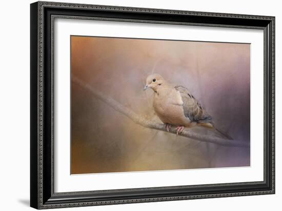 Mourning Dove on a Winter Evening-Jai Johnson-Framed Giclee Print