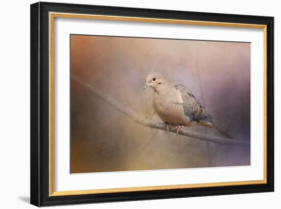 Mourning Dove on a Winter Evening-Jai Johnson-Framed Giclee Print