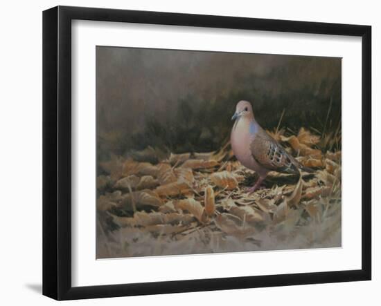 Mourning Dove-Michael Jackson-Framed Giclee Print