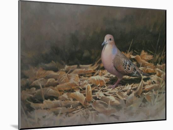 Mourning Dove-Michael Jackson-Mounted Giclee Print