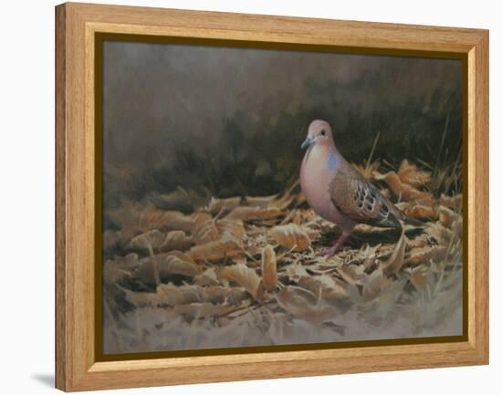 Mourning Dove-Michael Jackson-Framed Premier Image Canvas