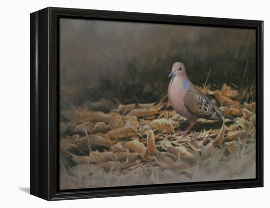 Mourning Dove-Michael Jackson-Framed Premier Image Canvas