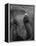 Mouse Balancing on Elephant's Trunk-Bettmann-Framed Premier Image Canvas