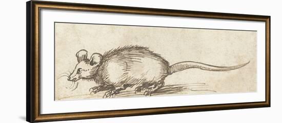 Mouse, C. 1480-1520-Albrecht Durer-Framed Art Print