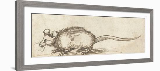 Mouse, C. 1480-1520-Albrecht Durer-Framed Art Print