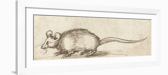 Mouse, C. 1480-1520-Albrecht Durer-Framed Art Print