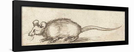 Mouse, C. 1480-1520-Albrecht Durer-Framed Art Print