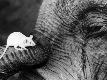 Premium Photographic Print