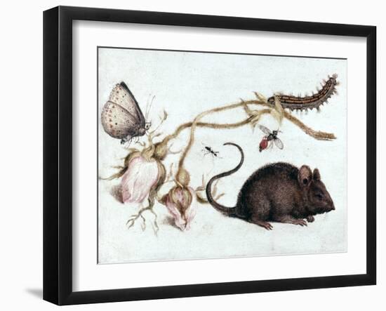 Mouse, Flower and Insect, 16th Century-Joris Hoefnagel-Framed Giclee Print