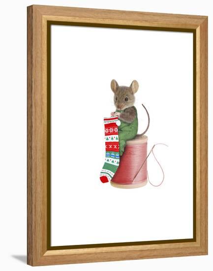 Mouse on Spool-J Hovenstine Studios-Framed Premier Image Canvas