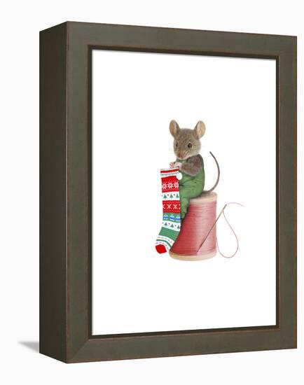 Mouse on Spool-J Hovenstine Studios-Framed Premier Image Canvas