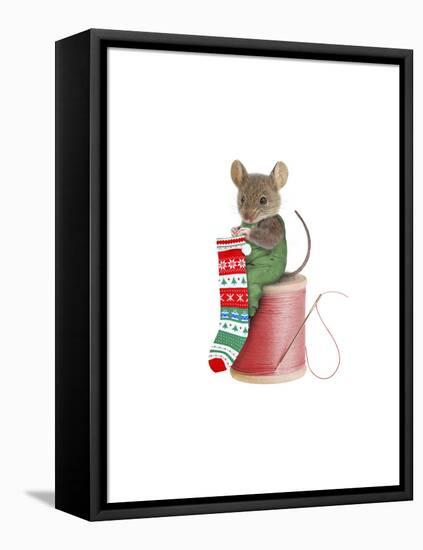 Mouse on Spool-J Hovenstine Studios-Framed Premier Image Canvas