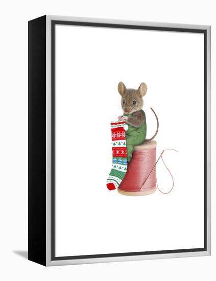 Mouse on Spool-J Hovenstine Studios-Framed Premier Image Canvas