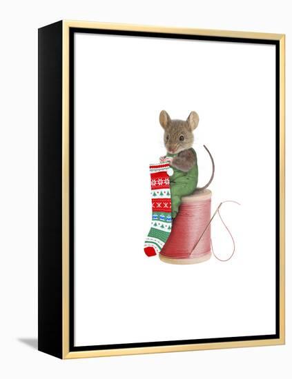 Mouse on Spool-J Hovenstine Studios-Framed Premier Image Canvas