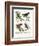 Mousebird, 1864-null-Framed Giclee Print